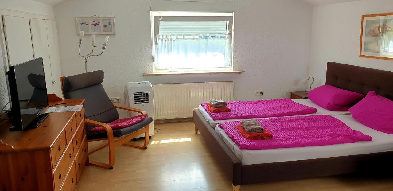 Apartmenthaus "Zum Lowen" Heidelberg - Ziegelhausen Buitenkant foto