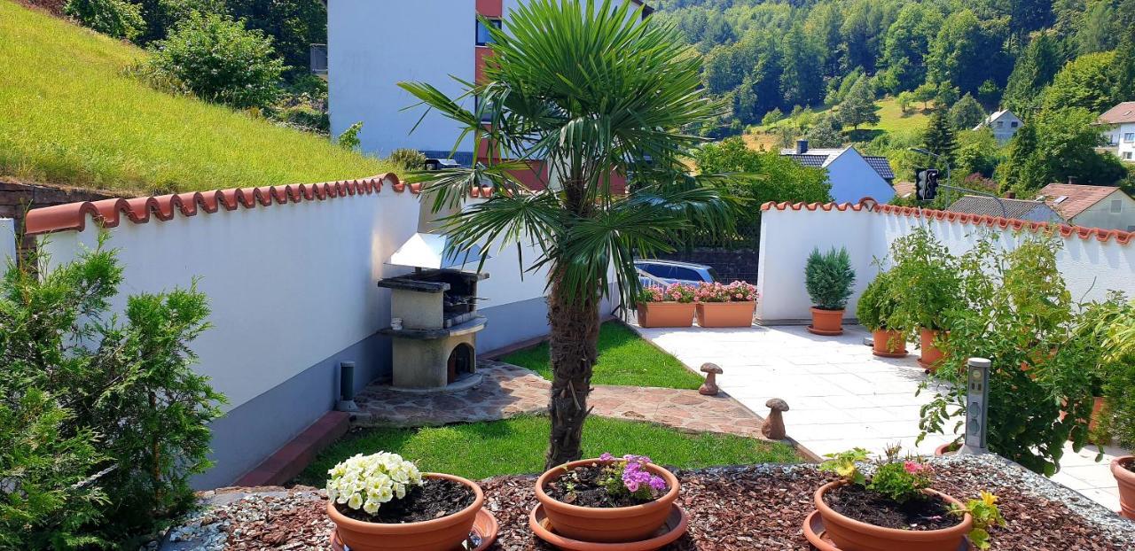 Apartmenthaus "Zum Lowen" Heidelberg - Ziegelhausen Buitenkant foto