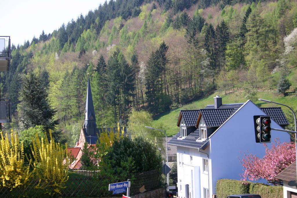 Apartmenthaus "Zum Lowen" Heidelberg - Ziegelhausen Buitenkant foto