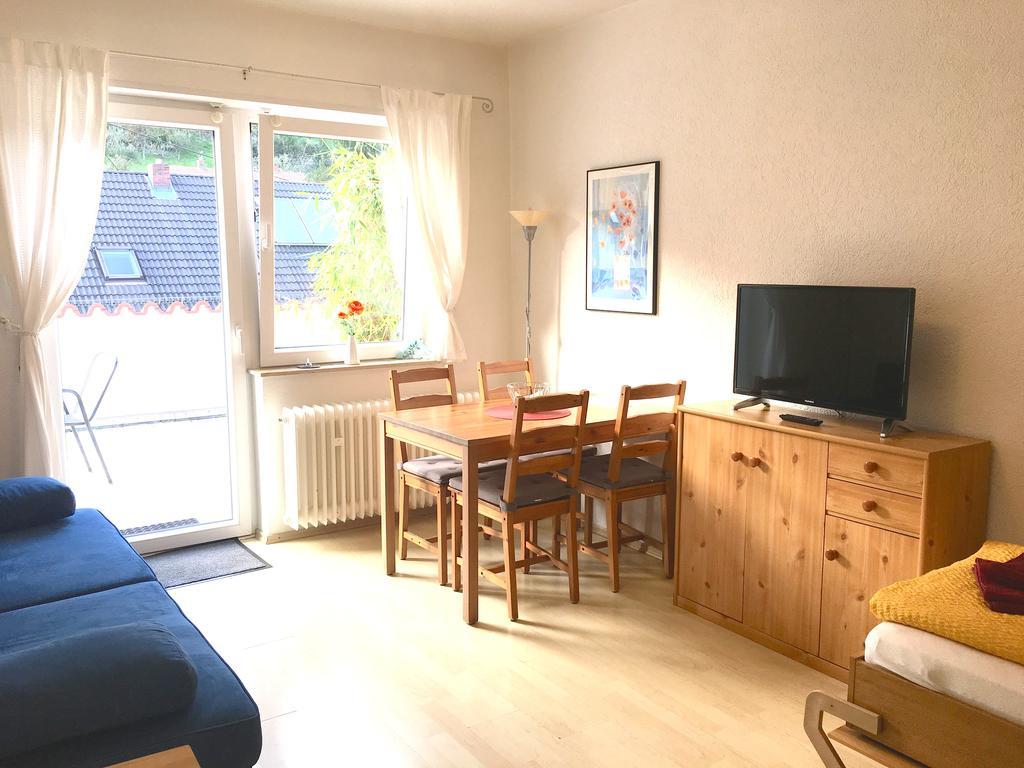 Apartmenthaus "Zum Lowen" Heidelberg - Ziegelhausen Buitenkant foto