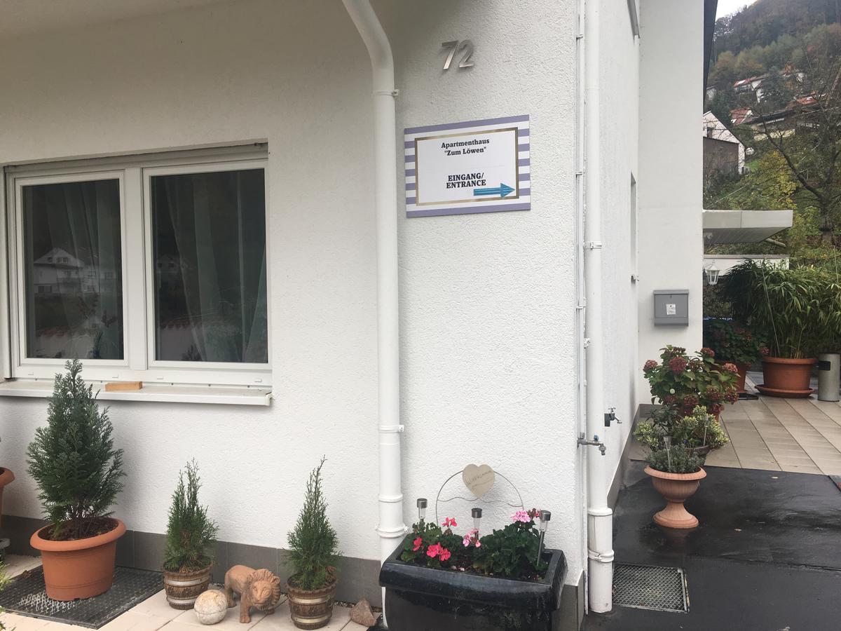 Apartmenthaus "Zum Lowen" Heidelberg - Ziegelhausen Buitenkant foto