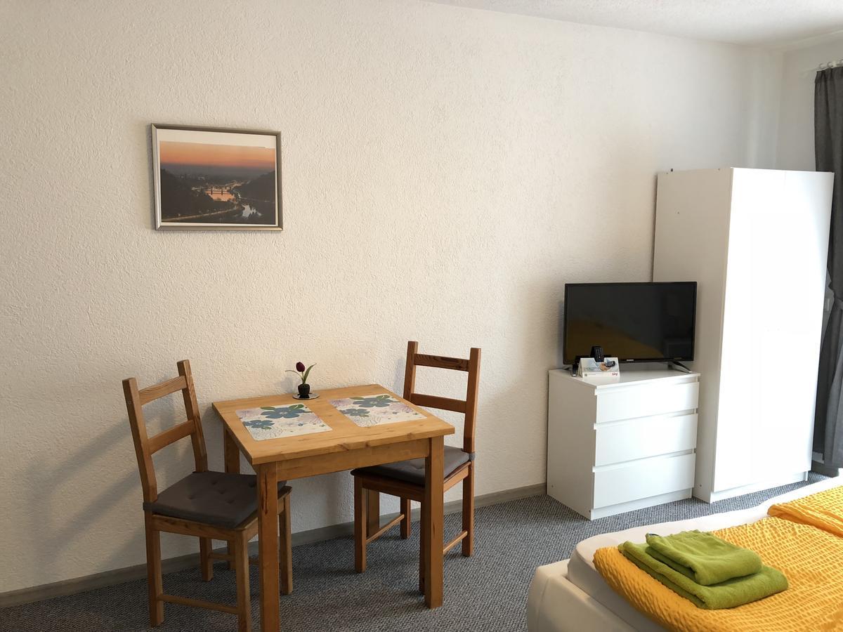 Apartmenthaus "Zum Lowen" Heidelberg - Ziegelhausen Buitenkant foto